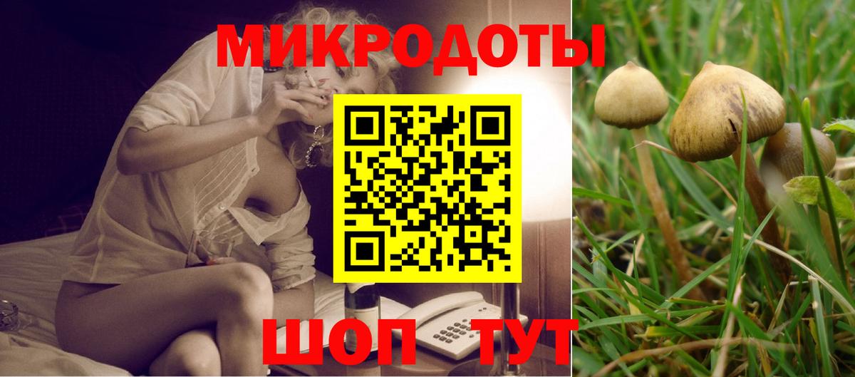 Псилоцибиновые грибы ЛСД Грозный