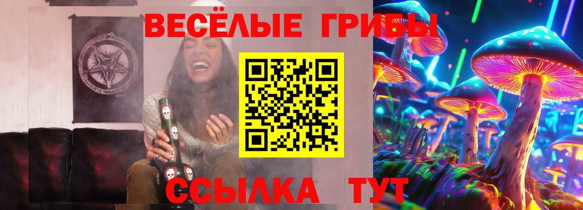 Псилоцибиновые грибы Psilocybine cubensis  Псилоцибиновые грибы прущие грибы  Вход с VPN  Грозный 
